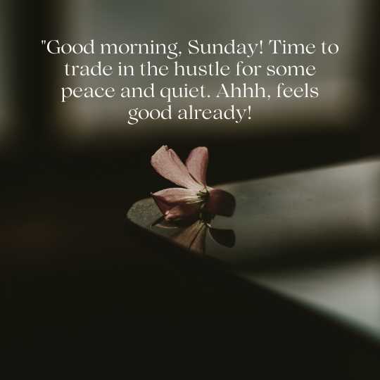 Good Morning, Sunday Quotes.