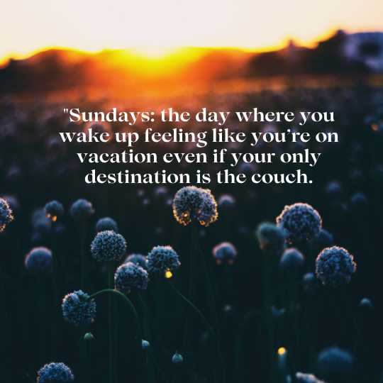 Good Morning, Sunday Quotes.