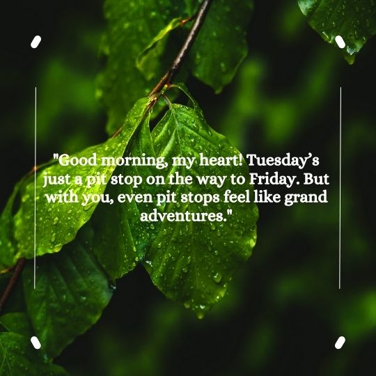 Good morning Tuesday for him quotes