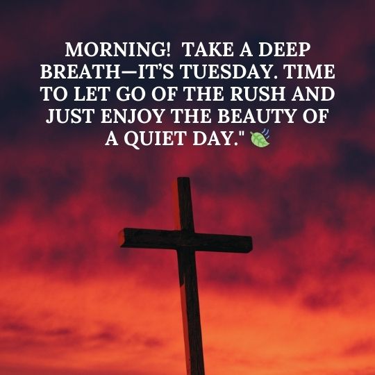 Good morning Tuesday for relaxing quotes