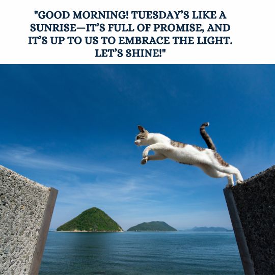 Good morning Tuesday motivational quotes​
