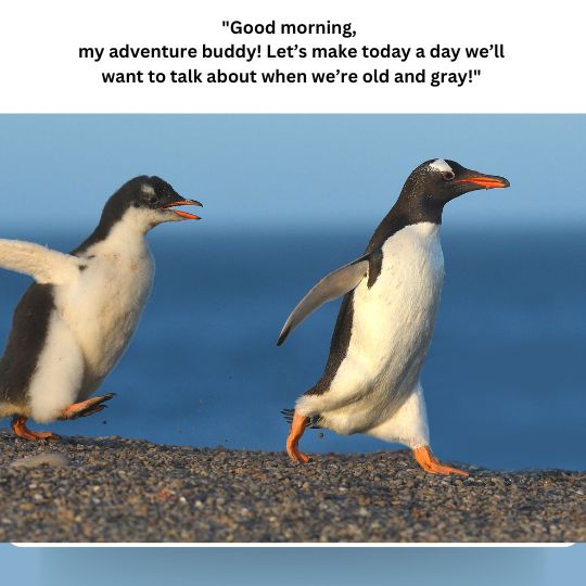 Good morning Tuesday quotes for friends