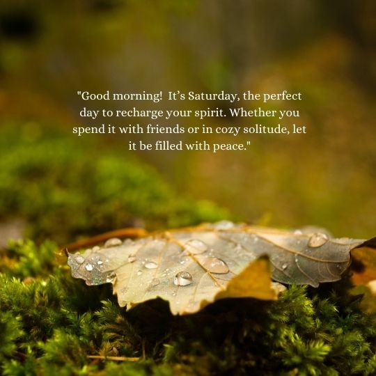 Good morning happy saturday quotes