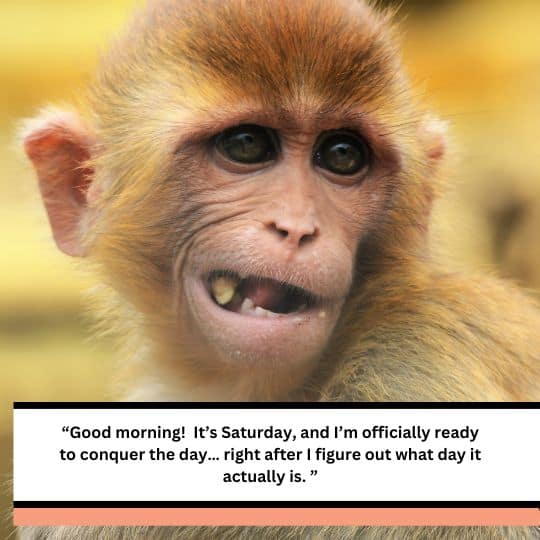 Good morning saturday quotes funny