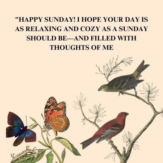 Good morning sunday for him quotes