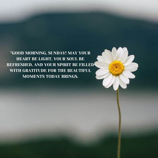 Positive good morning Sunday blessings quotes.