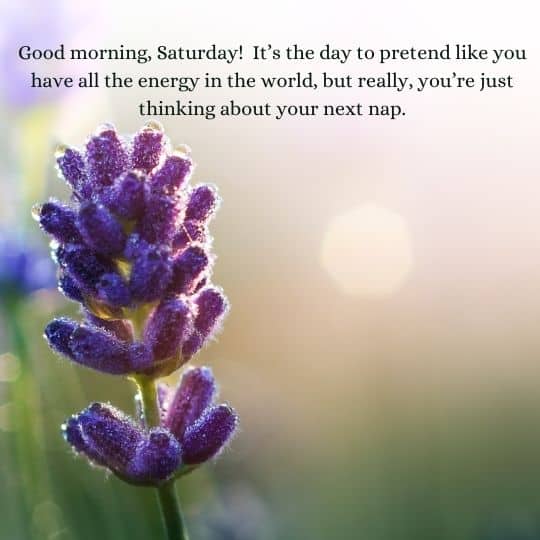 Positive good morning saturday blessings quotes​