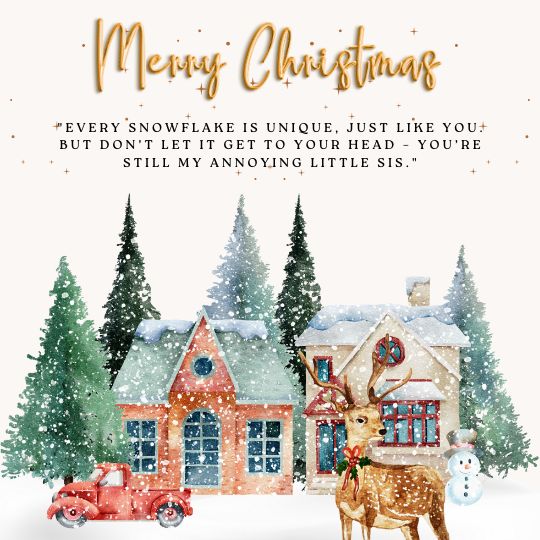 Christmas quotes for sister