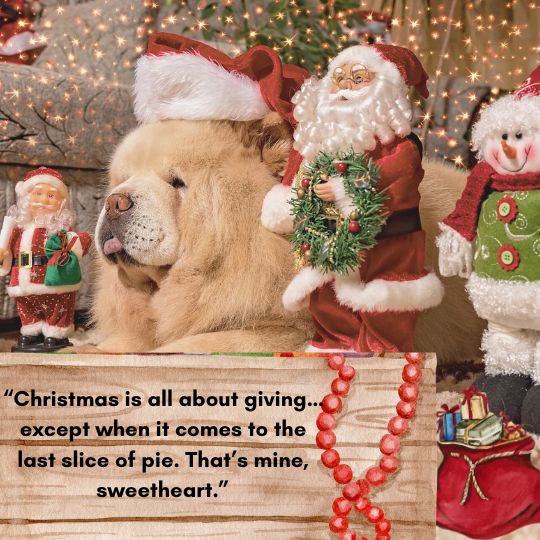 Funny christmas quotes for daughter