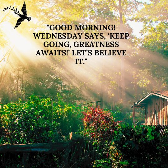 Good Morning Wednesday Quotes