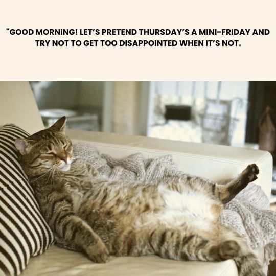 Good morning Thursday quotes funny