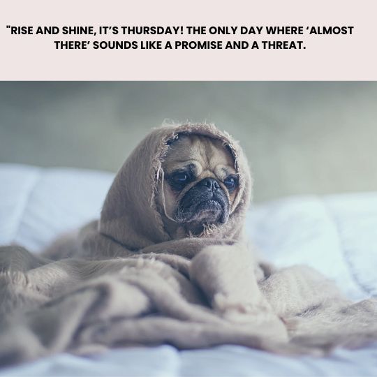 Good morning Thursday quotes funny