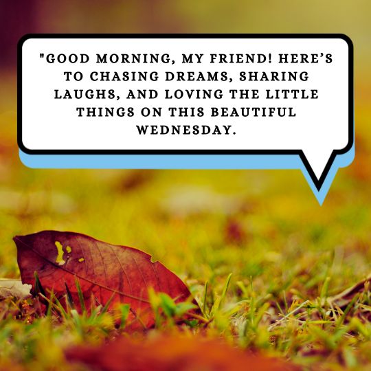 Good morning happy Wednesday quotes