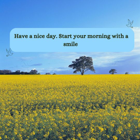 Positive good morning Friday blessings quotes​