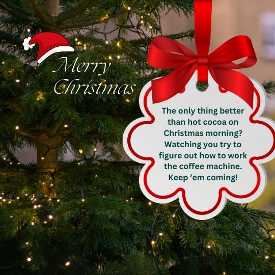 Funny Christmas quotes for husband
