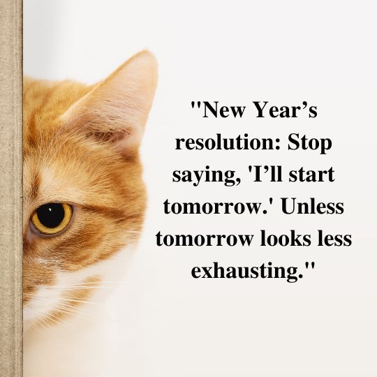 Funny happpy new year quotes