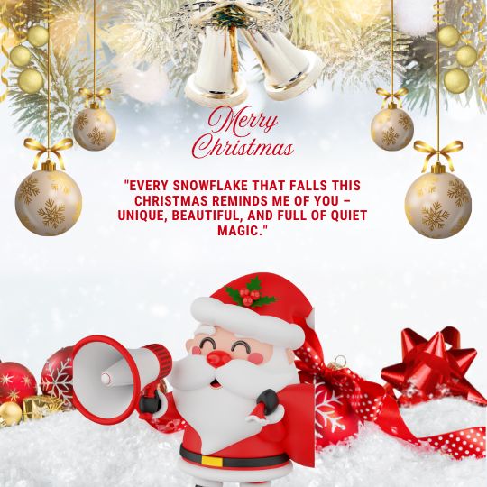Heartwarming Christmas quotes for sister
