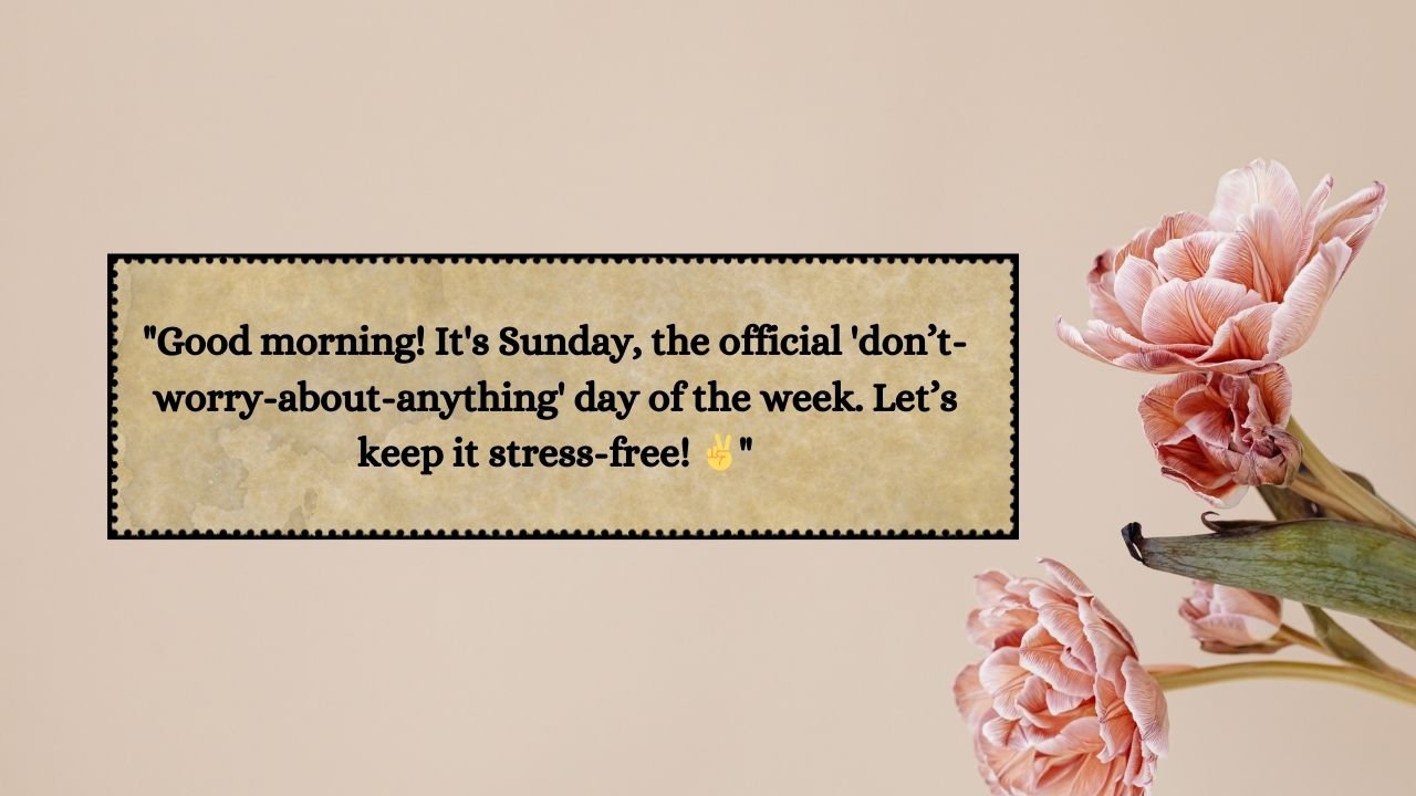 750 Good Morning Sunday Quotes To Brighten Your Day - Textpalace
