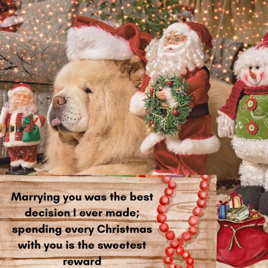 Romantic Christmas Vibes