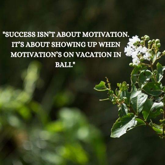 Attitude Quotes