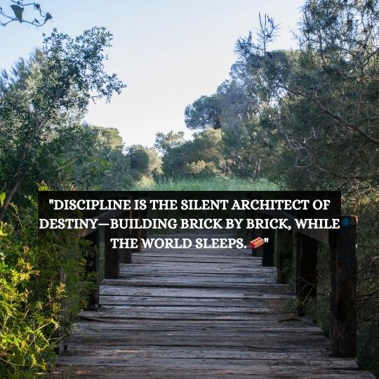 Discipline Quotes