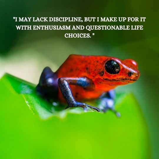 Funny Quotes About Discipline