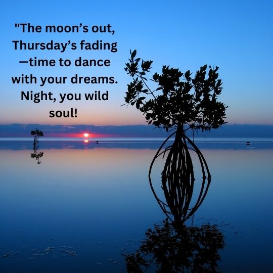 Good Night happy Thursday quotes