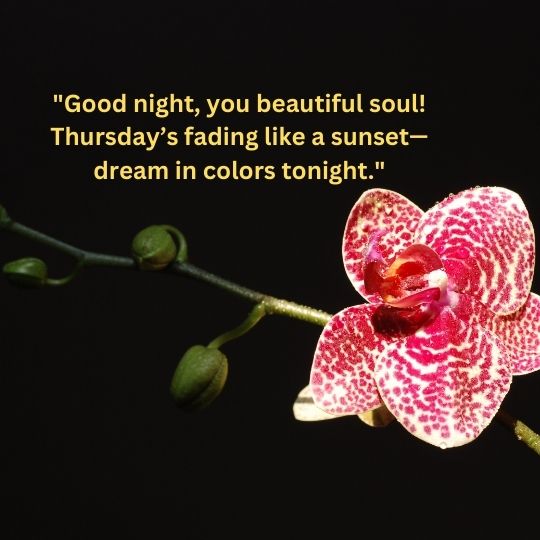 Good Night happy Thursday quotes