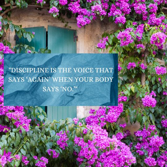 Mike Tyson quotes on discipline