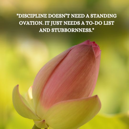 Motivation Vs Discipline quote​