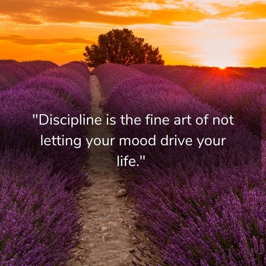 Quotes on discipline