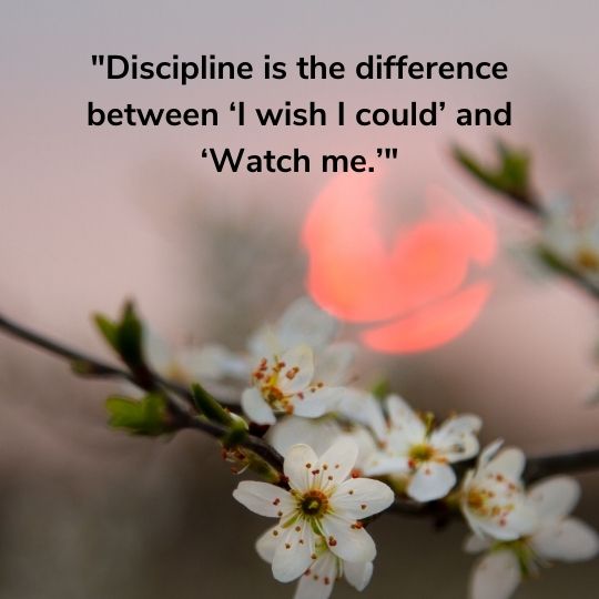  Self discipline quotes