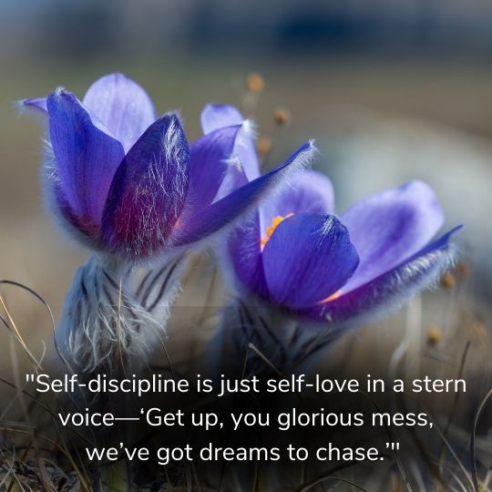  Self discipline quotes