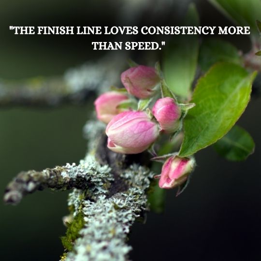 Success Discipline Quotes