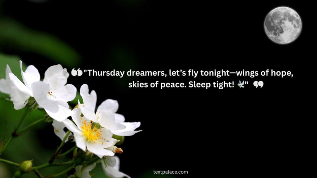 Good Night Thursday Quotes