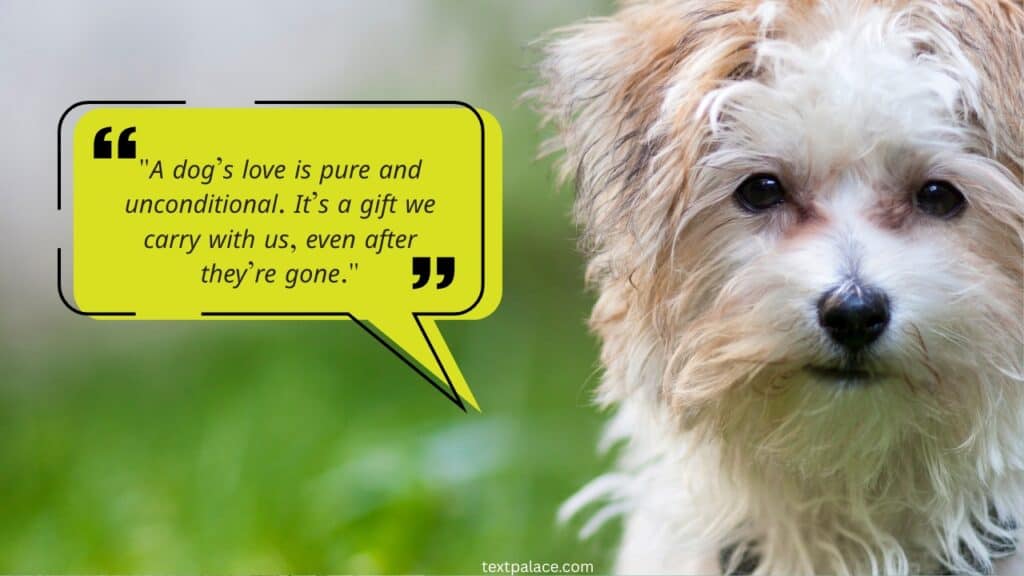 Heart Touching Dog Memorial Quotes For Your Lovable Dog