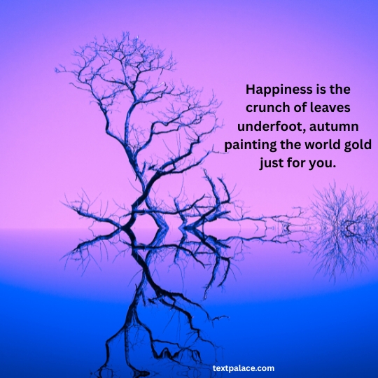 Inspirational quote about happiness