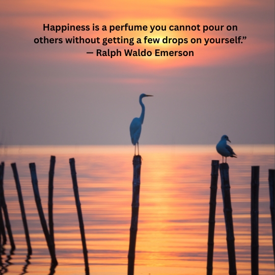 Philosophical quotes about happiness