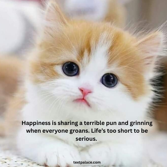 Powerful quotes about happiness