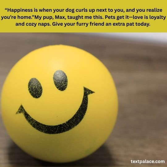 Quotes about happiness and love