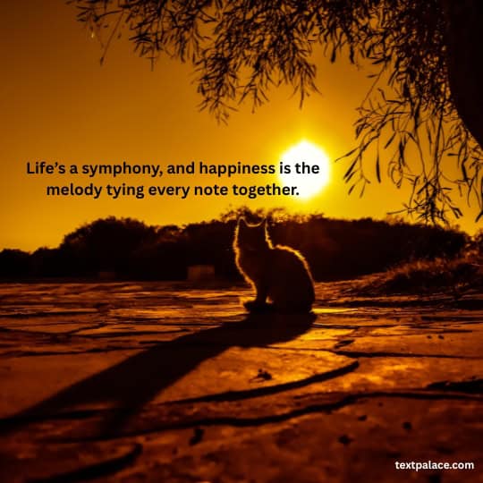 Unique quotes on happiness